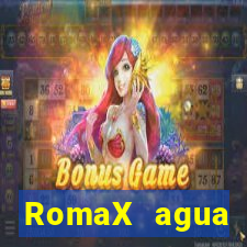 RomaX agua sanitaria fispq agua sanitaria romax